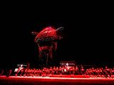 Fast 120.000 Besucher bei der WDW - Bild 37
