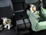 Dacia Striker: Kombi-Angriff in der Kompaktklasse - Bild 40