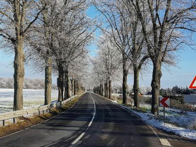 2020 gingen die Emissionen des Verkehrs deutlich zurück