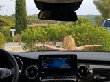 Unterwegs im Mercedes-Benz Marco Polo: Mobiles Teambuilding  - Bild 12