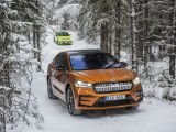 Skoda Enyaq RS iV: Mit dem Allrad-Elektriker auf Eis und Schnee - Bild 8
