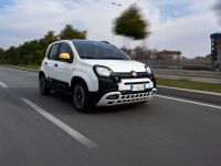 Stellantis steigert seinen Marktanteil