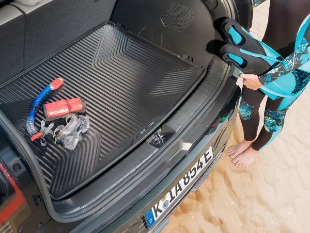 Erstes Autozubehör mit aus dem Meer recyceltem Kunststoff - Bild 1