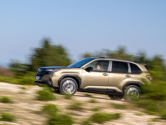 Seit 29 Jahren eine feste Größe - Bild 1