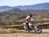 Ducati erneuert die Desert X - Bild 18