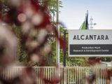 Alfa Romeo und Alcantara: Italienische Symbiose - Bild 12